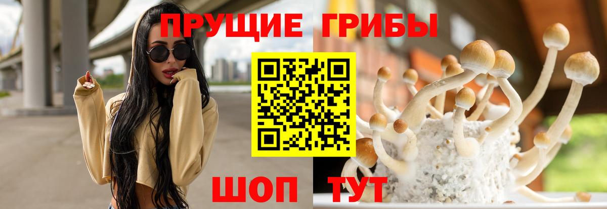 Галлюциногенные грибы мицелий  Галлюциногенные грибы Psilocybine cubensis  Гусев  Вход с VPN 